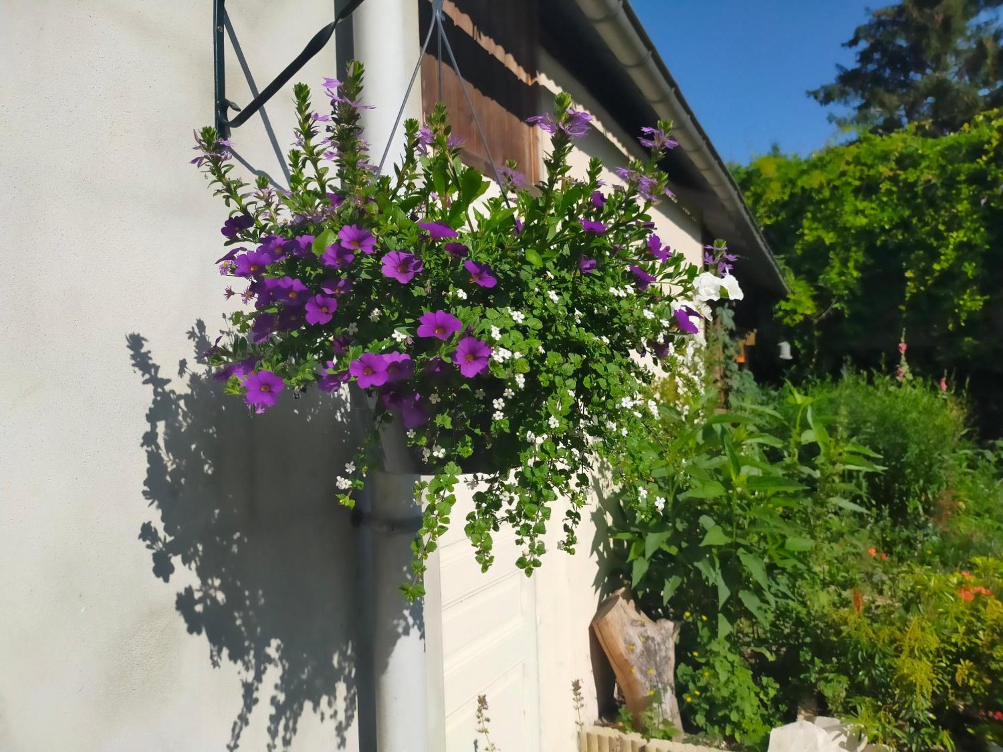 Logis51 Daire Ville-sur-Tourbe Dış mekan fotoğraf