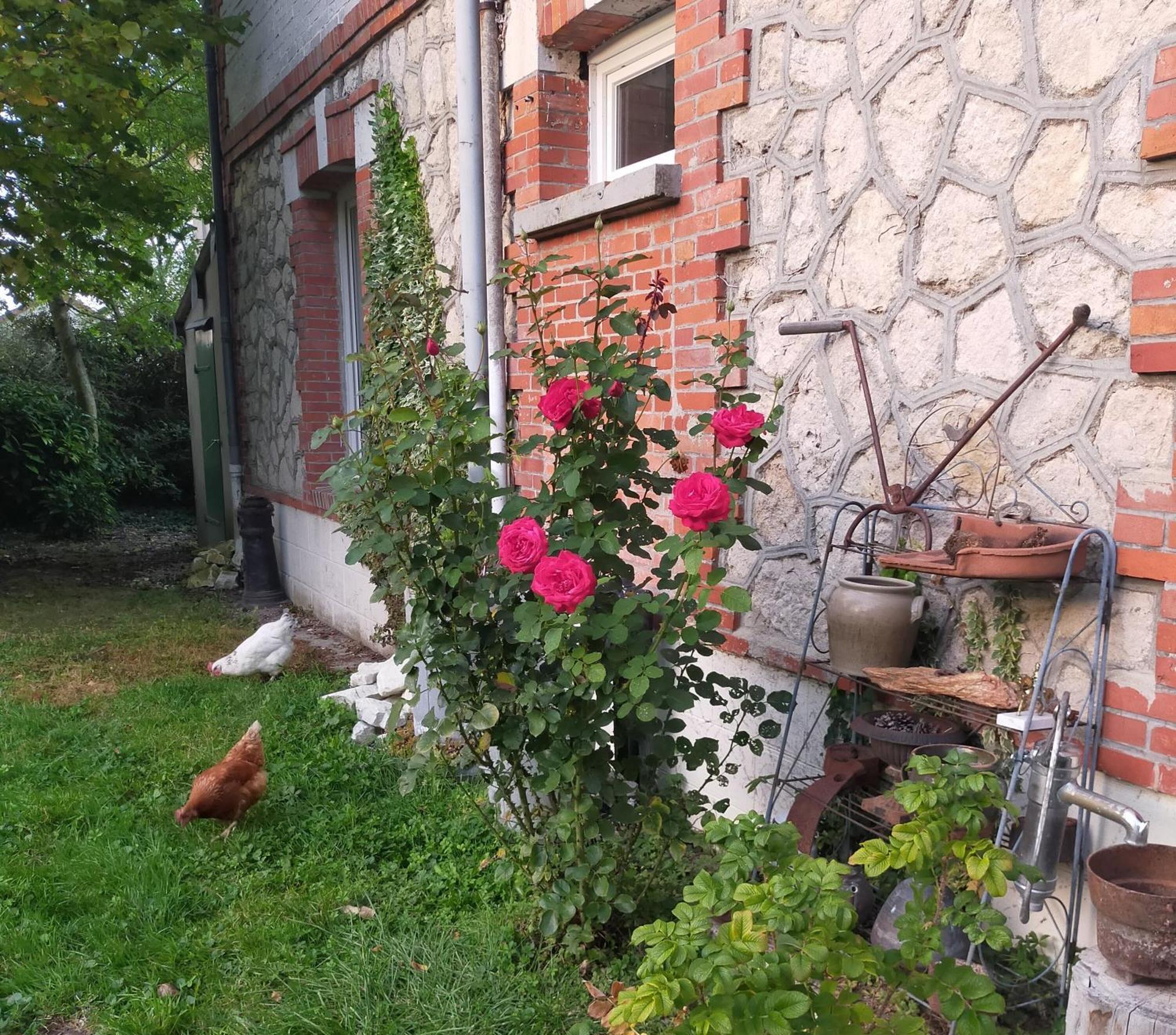 Logis51 Daire Ville-sur-Tourbe Dış mekan fotoğraf